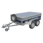A13.webp