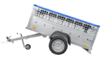 C20.png