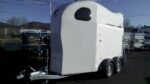GOLDWHITELINE001-1